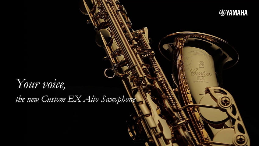 Alto Sax, saxophone HD wallpaper