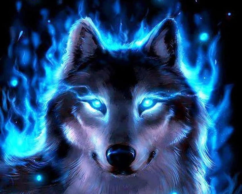 Cool Wolf, lobo mágico fondo de pantalla