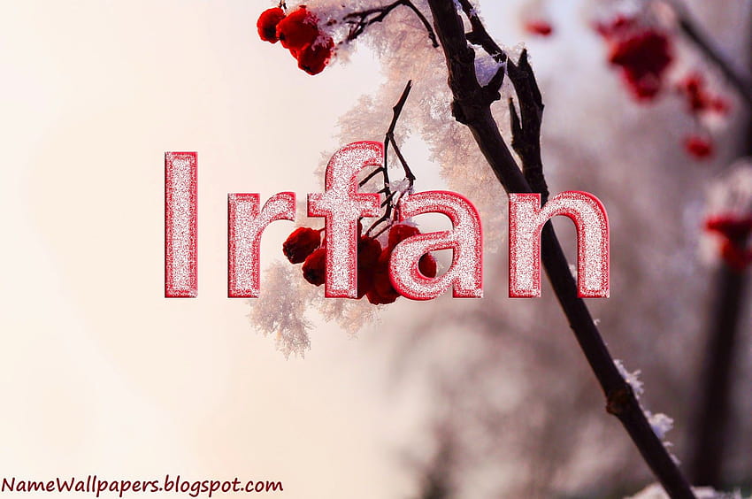 Irfan Nazwa Irfan ~ Imię Urdu Znaczenie nazwy Tapeta HD