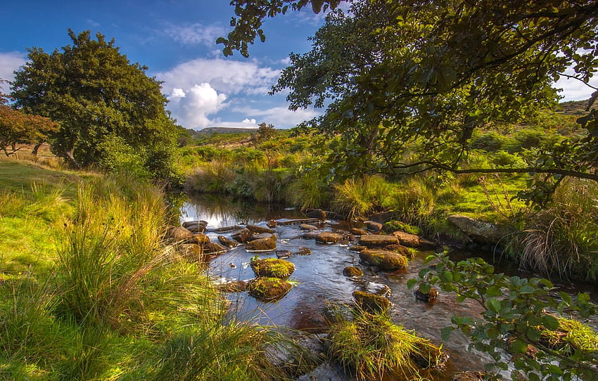 ต้นไม้, แม่น้ำ, อังกฤษ, แม่น้ำ, อังกฤษ, อุทยานแห่งชาติ Peak District, Derbyshire, Derbyshire, แม่น้ำ Berbagi Brooke, Longshaw Estate, Burbage Brook, Padley Gorge, The Peak District , ส่วน пейзажи วอลล์เปเปอร์ HD