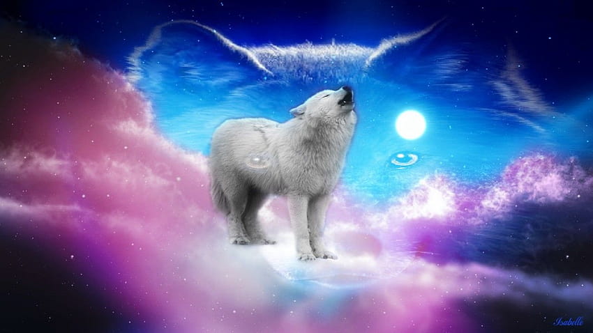 Cute Wolf on Dog, pink wolf HD wallpaper | Pxfuel