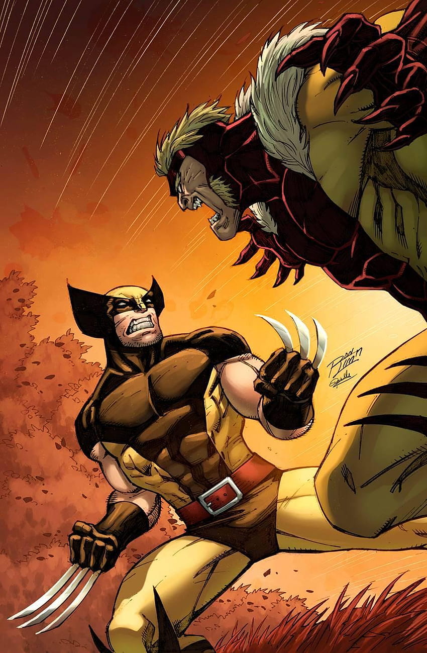 Solo una ruda de Wolverine vs Sabertooth, Wolverine vs Sabertooth fondo de pantalla del teléfono