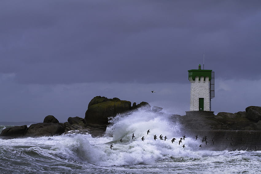 : ocean, sea, lighthouse, storm, France, brittany, waves, bretagne, fr, seabirds, finistere, tr vignon, christianwilt 1800x1200 HD wallpaper