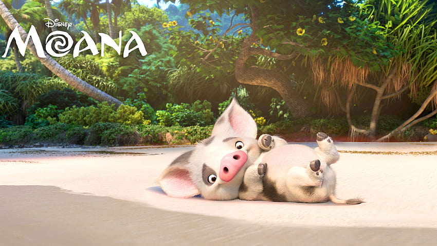 Pua das Schwein, Moana Disney HD-Hintergrundbild