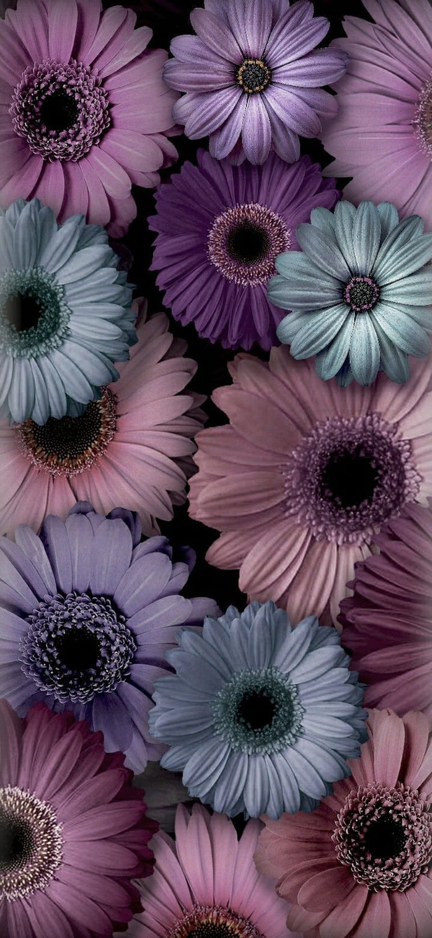 Bunga ungu iphone – Artofit wallpaper ponsel HD