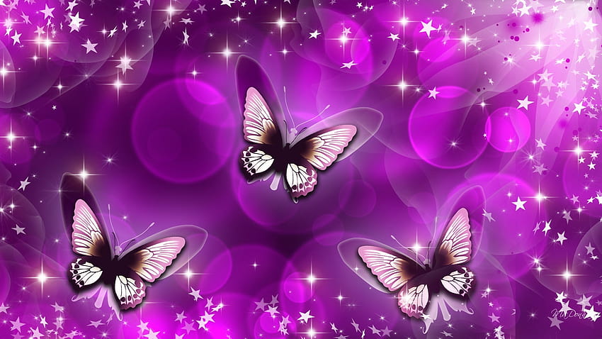 31 Pink Butterfly, y laptop HD wallpaper