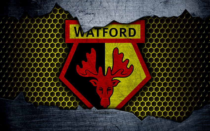 Watford FC, football, Premier League HD wallpaper | Pxfuel