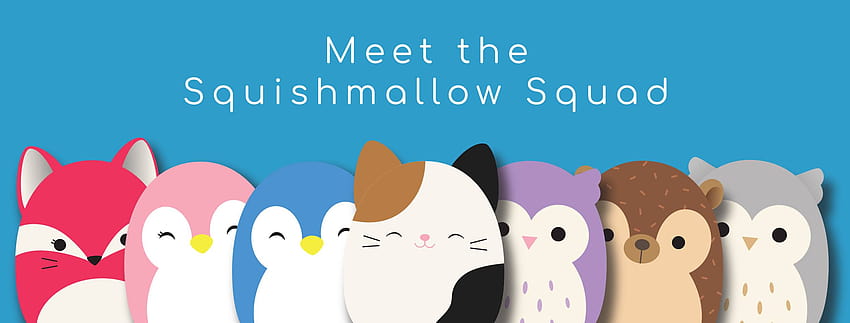 Meet The Squishmallows Squad HD wallpaper