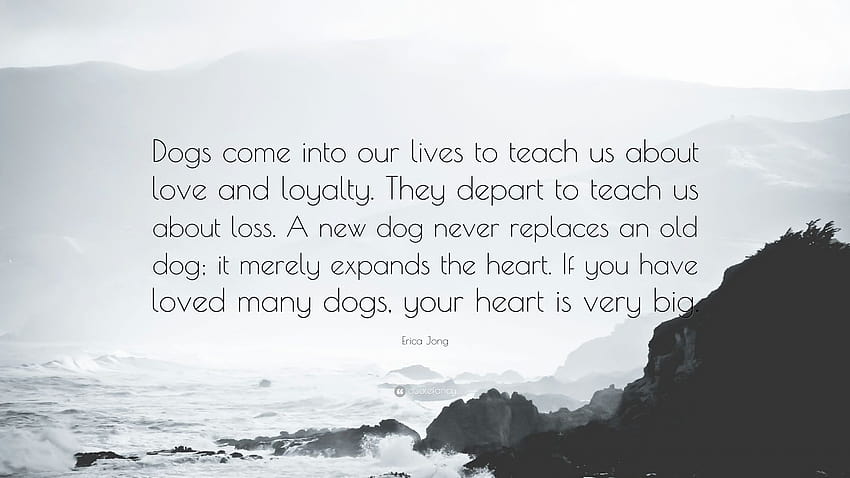 Cita de Erica Jong: “Los perros llegan a nuestras vidas para enseñarnos sobre el amor y la lealtad. Parten para enseñarnos sobre la pérdida. Un perro nuevo nunca reemplaza...” fondo de pantalla