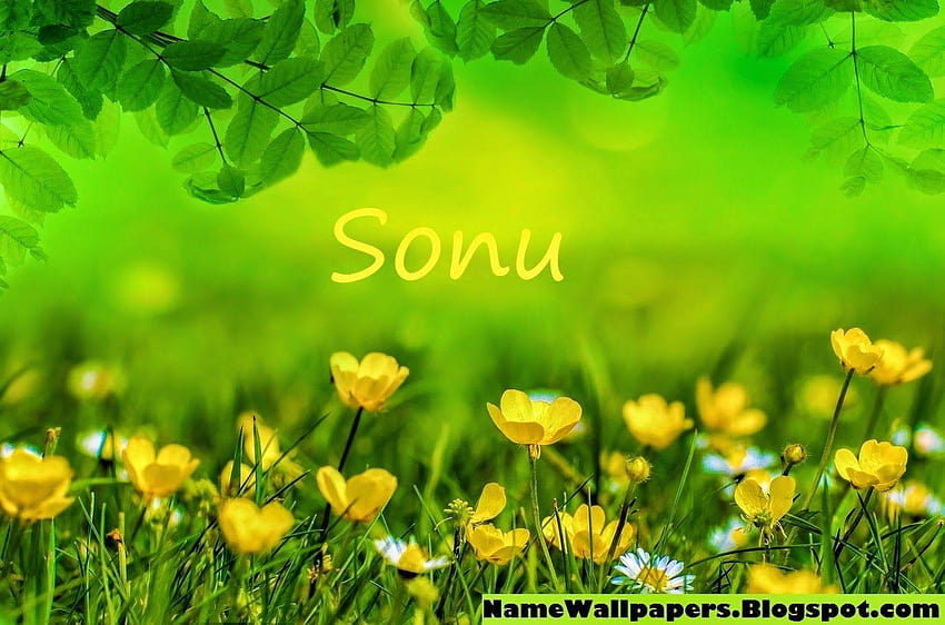 Sonu name HD wallpapers | Pxfuel