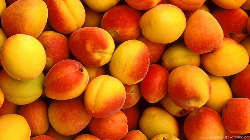 Peach Fruit Backgrounds HD wallpaper | Pxfuel