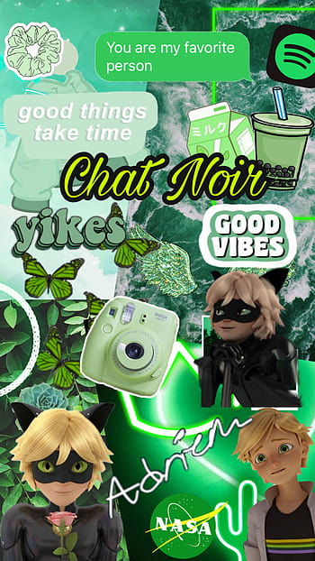 I made Cat noir wallpapers because yes  Fandom
