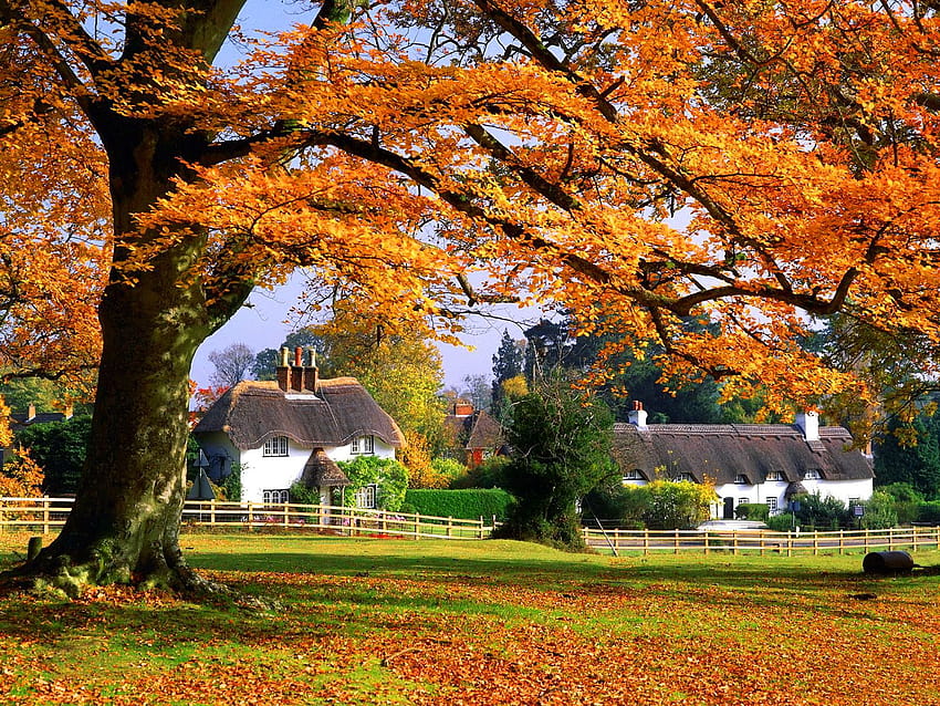 4 English Countryside, autumn england countryside HD wallpaper