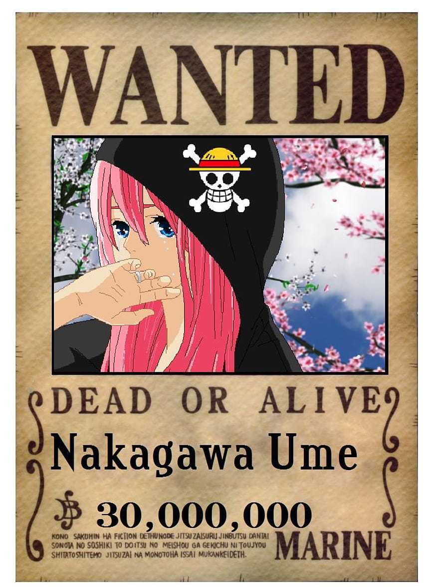 One piece: il primo poster ricercato di Ume di Monkeyking, Wanted Poster One Piece Sfondo del telefono HD