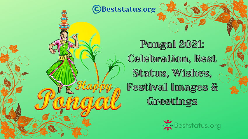 Pongal 2022: Celebration, Quotes, Wishes, Festival & Greetings HD wallpaper