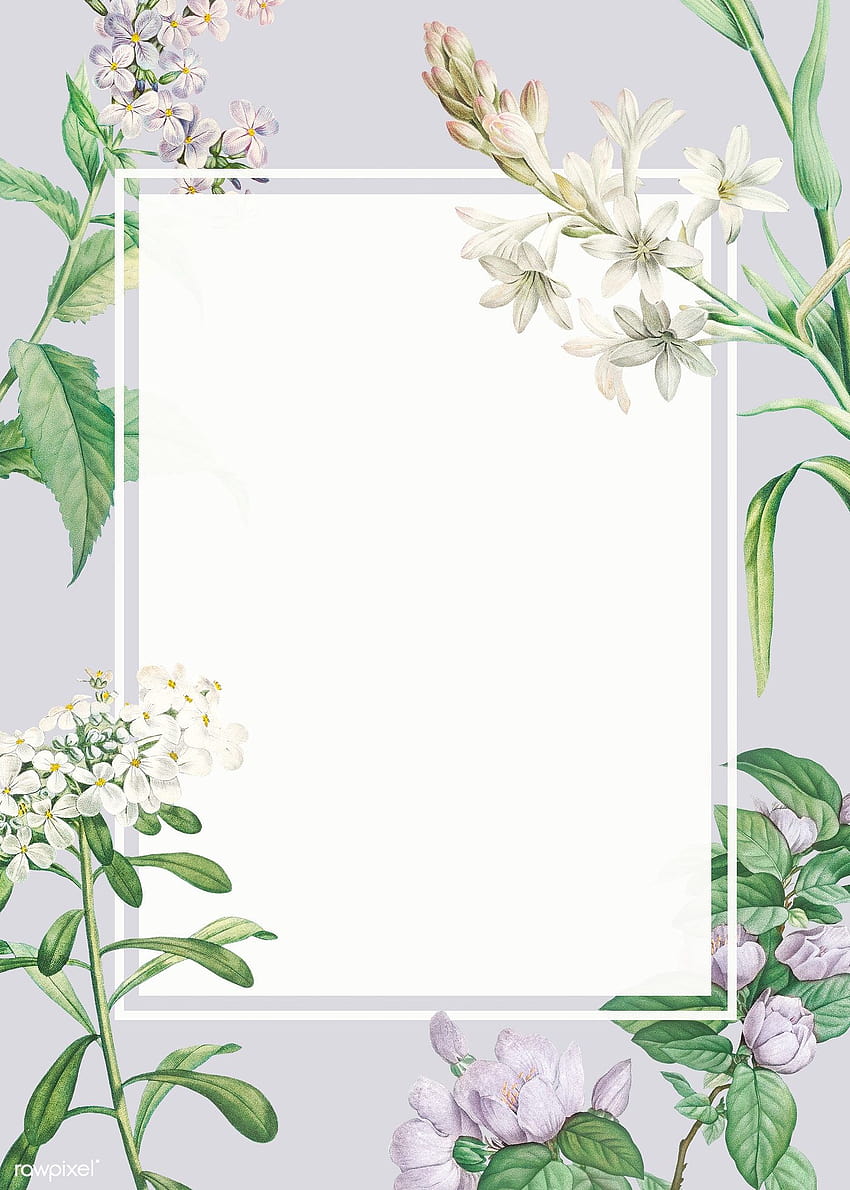 Vintage Flower Frame, floral frame HD phone wallpaper