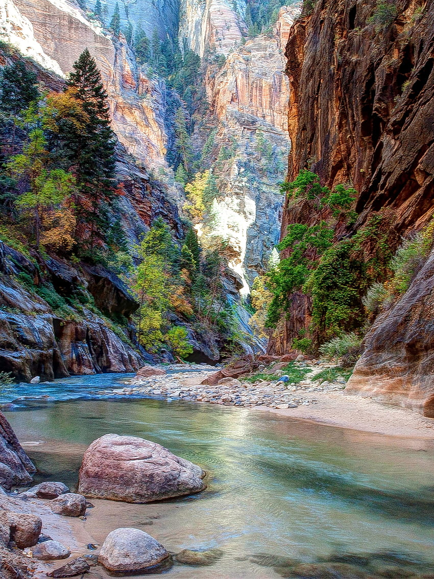 Zion National Park HD Wallpapers  HD Wallpapers  ID 32531