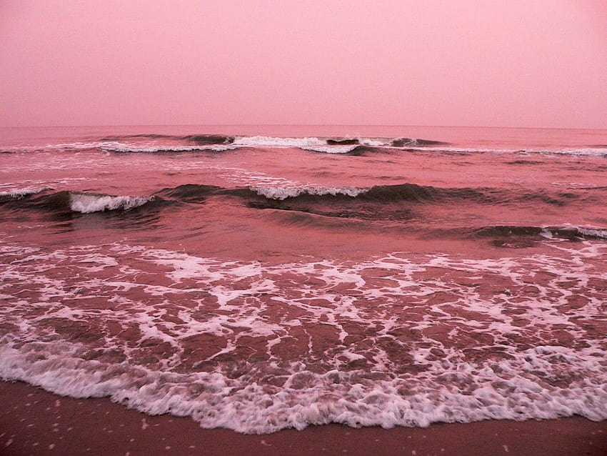 Pink Ocean HD wallpaper