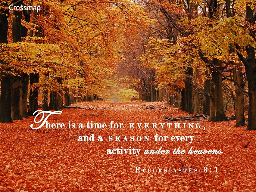 Fall with scripture HD wallpapers | Pxfuel