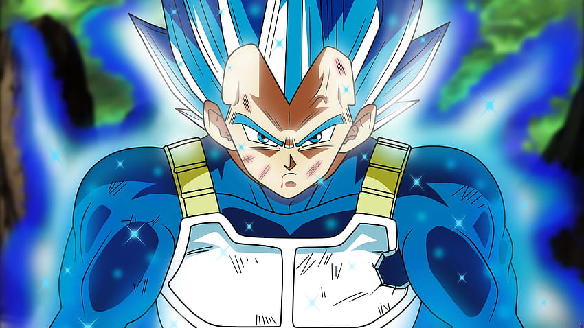 Dragon Ball Perfected Super Saiyan Blue Vegeta U Goku And Vegeta Ultra Instinct Hd Wallpaper