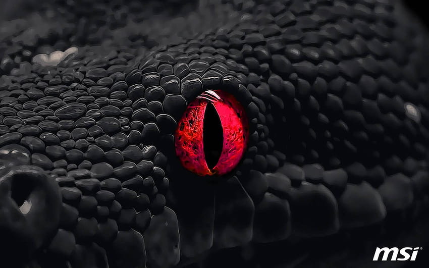 붉은뱀 HD 월페이퍼