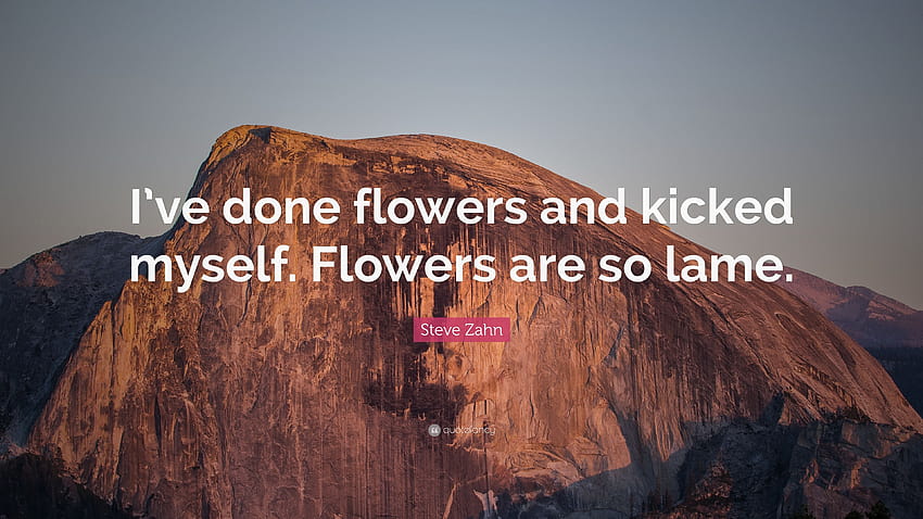 Steve Zahn Quote: “I've done flowers and kicked myself. Flowers HD wallpaper