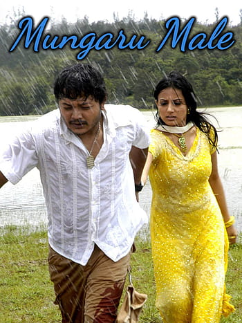Watch mungaru male HD wallpapers | Pxfuel