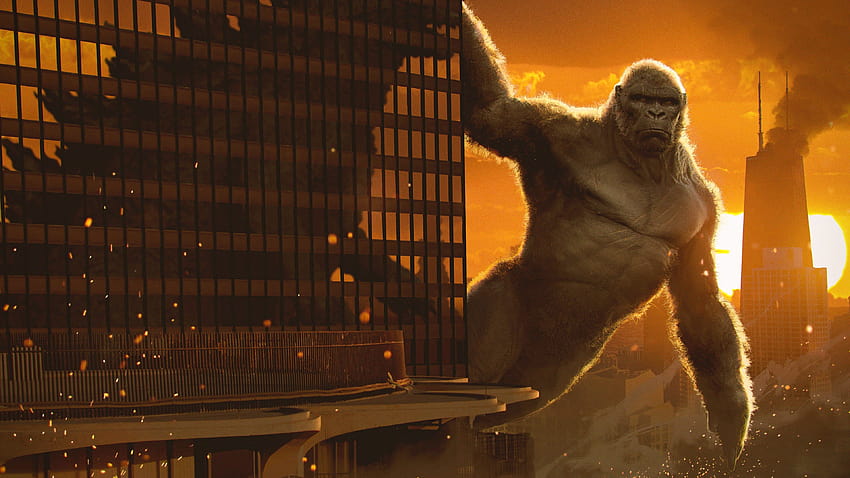 King Kong de Godzilla contra Kong, Godzila contra Kong fondo de pantalla