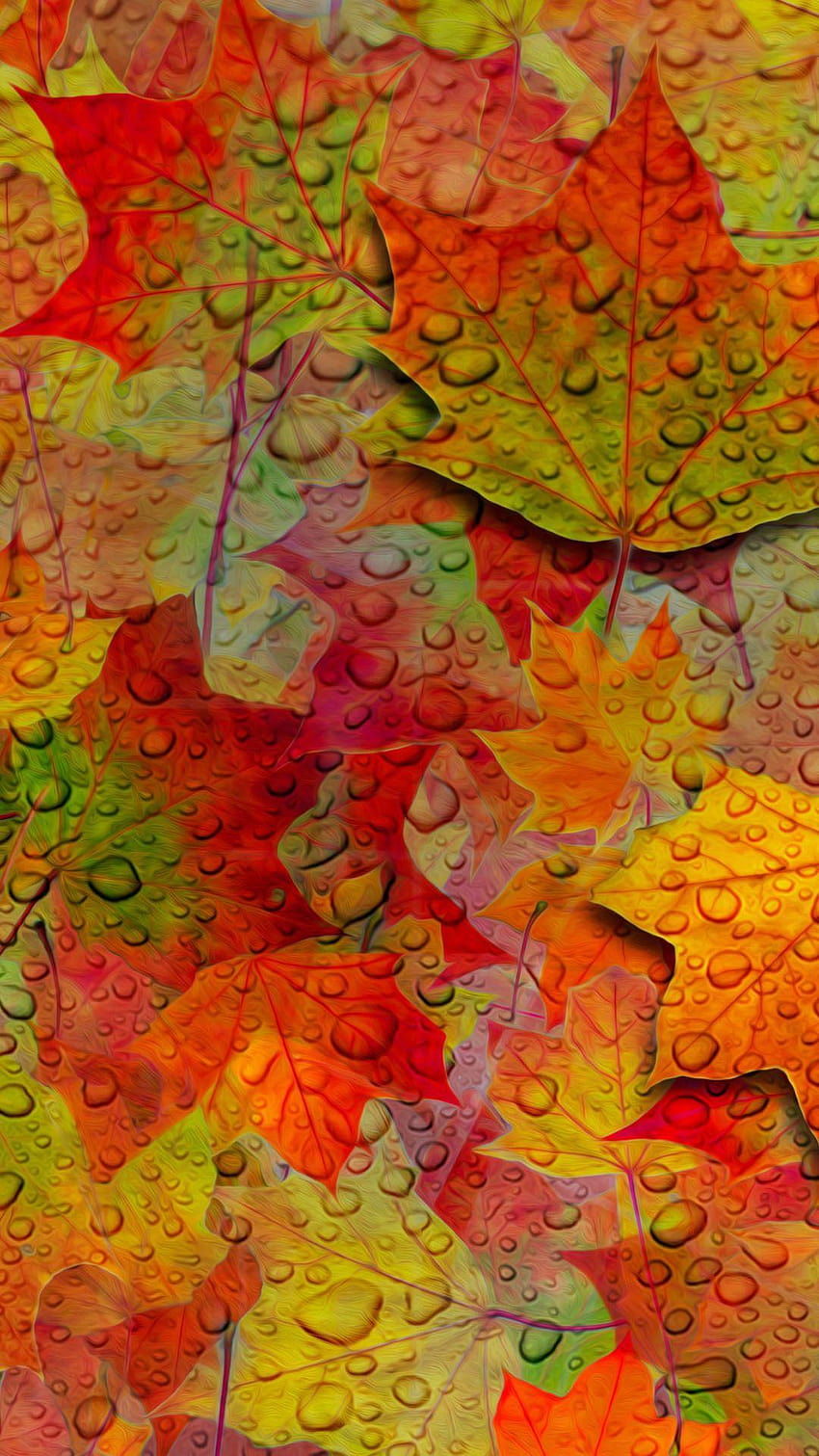Of the week: autumn, leaves autumn HD phone wallpaper | Pxfuel