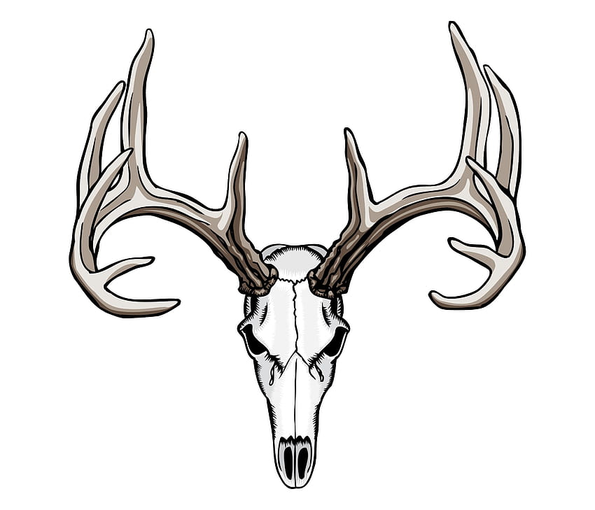 Whitetail Deer Skull Tattoos Art Nouveau Deer HD wallpaper