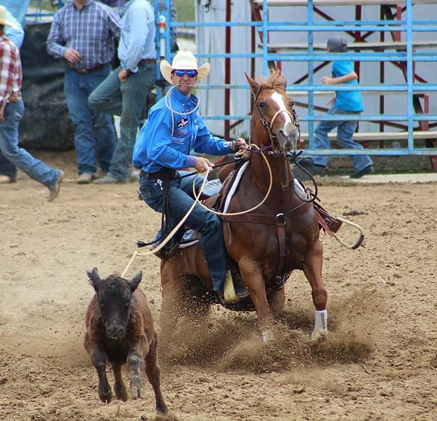 Shane Hanchey – 12 Gauge Ranch Ranch, calf roping HD wallpaper