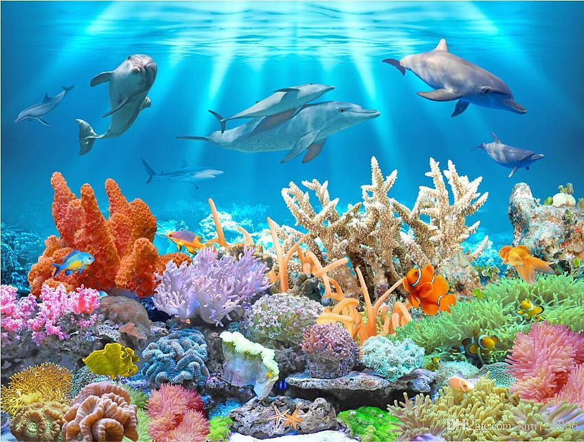 3d Custom Mural Underwater Dolphin Coral Landscape, dolphin 3d HD wallpaper