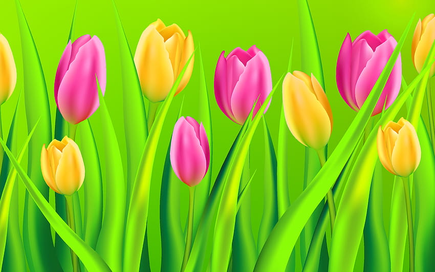 flores da primavera, tulipa, pétala, flor, amarelo, planta, planta com flores, senhora tulipa, botânica, fechar-se, caule da planta papel de parede HD