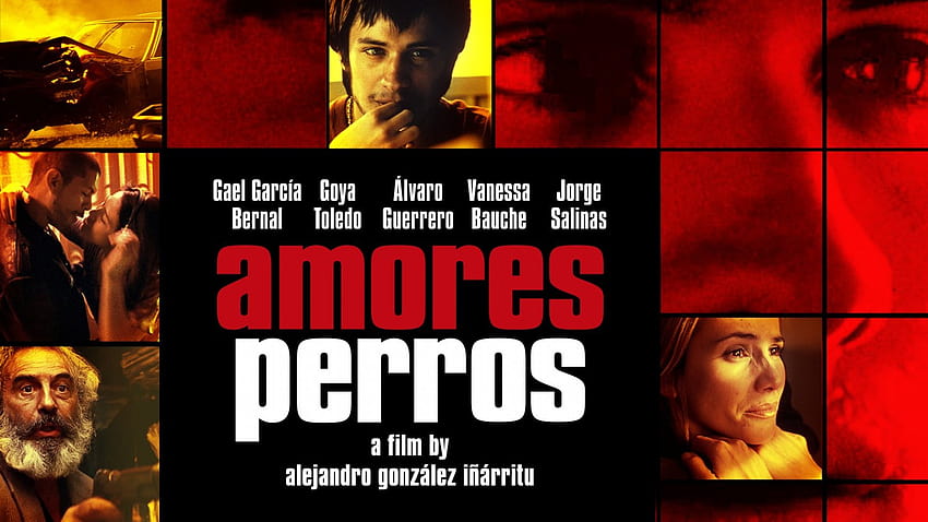Amores Perros HD duvar kağıdı
