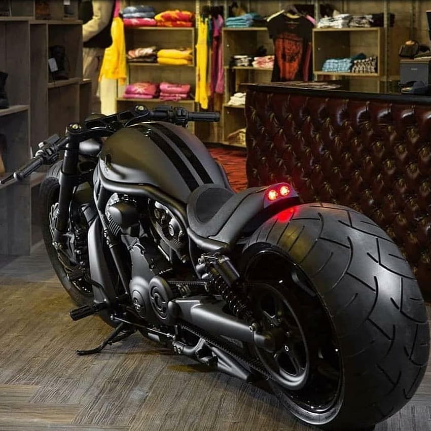 90 Harley Davidson V Rod ideas HD phone wallpaper | Pxfuel