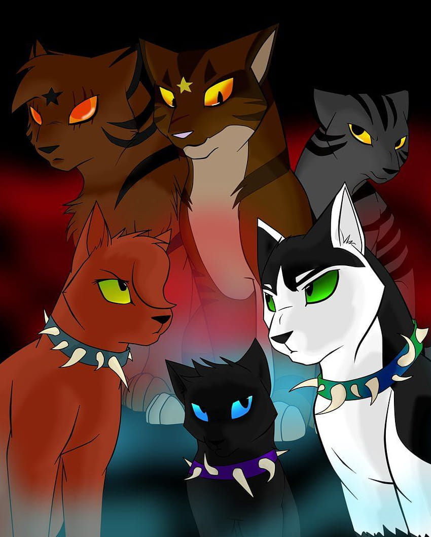 Pin on Warrior Cats