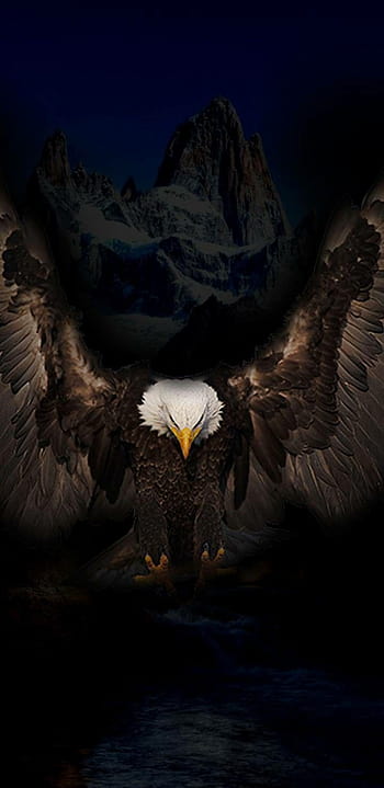 Aesthetic Eagle Black Wallpapers  Eagle Wallpapers for iPhone 4k