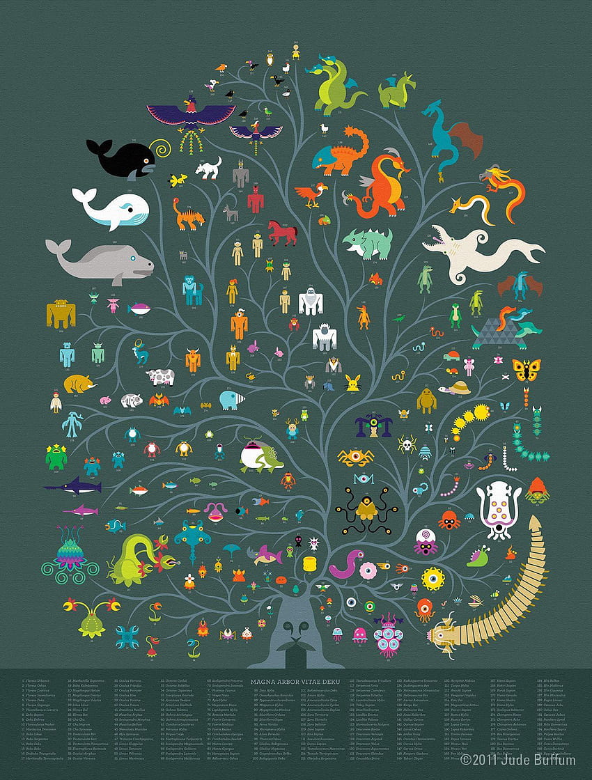 Biodiversität und Bevölkerung, biologische Vielfalt HD-Handy-Hintergrundbild