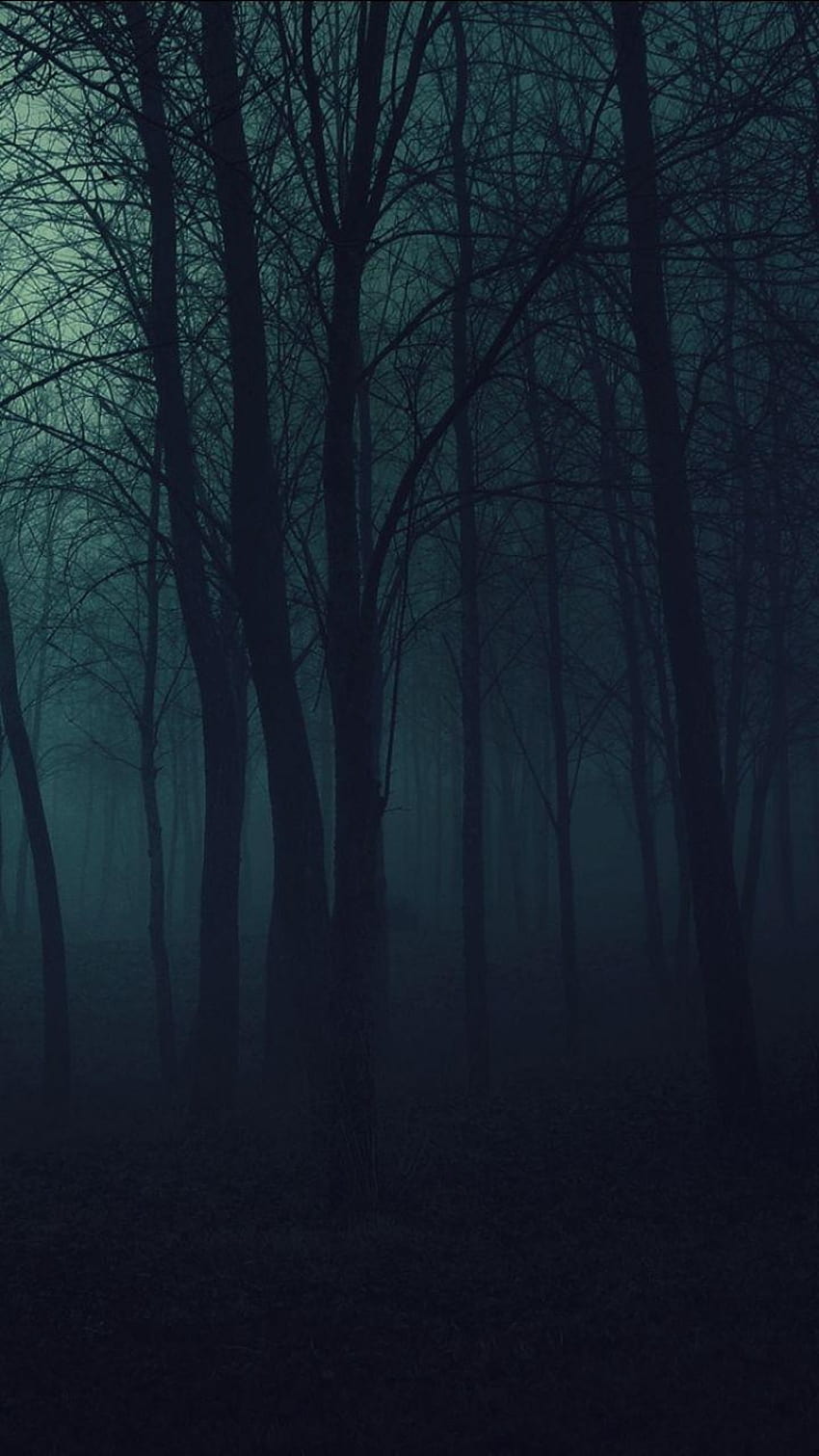 Dark Forest, dark tree phone HD phone wallpaper | Pxfuel