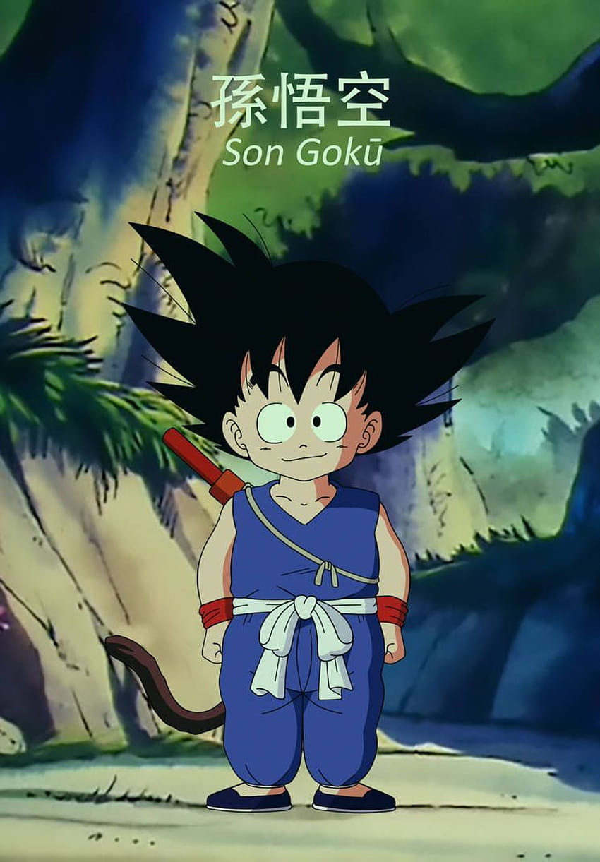 Dragon Ball 001: Son Goku di Dark, figlio goku kid Sfondo del telefono HD