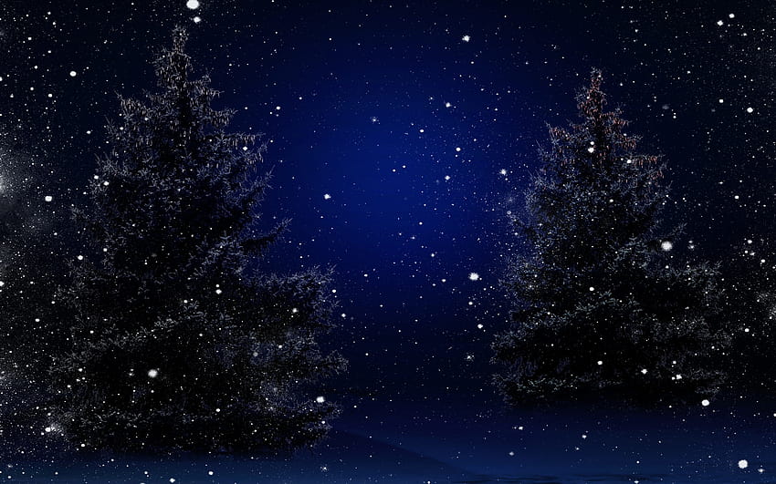 Starry Snowy Winter Night Christmas Trees HD wallpaper