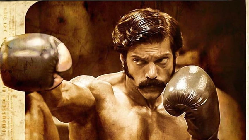 Here's a Knockout Watchlist to Binge On Before Toofaan and Sarpatta Parambarai – Prime Now News HD wallpaper