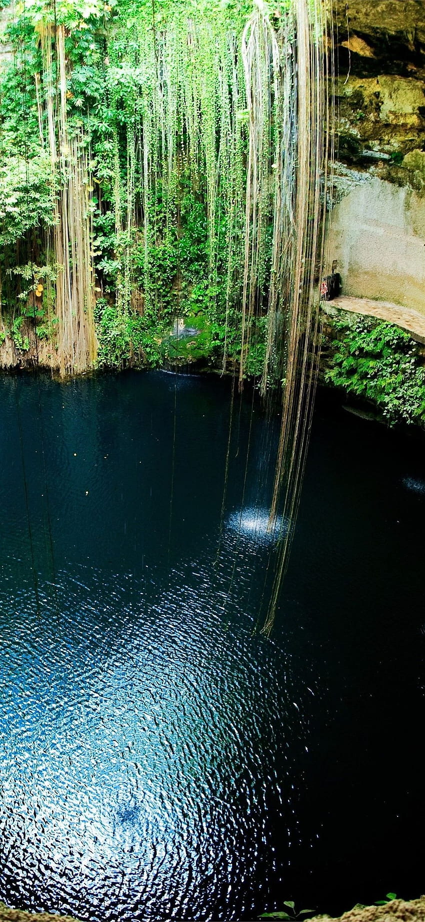 Ik Kil Cenote, yucatan HD phone wallpaper