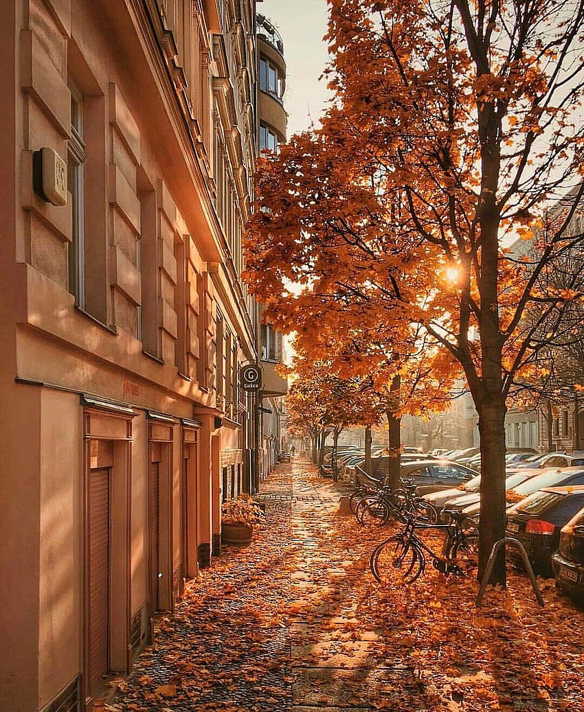 Berlin, Germany, autumn berlin HD phone wallpaper | Pxfuel