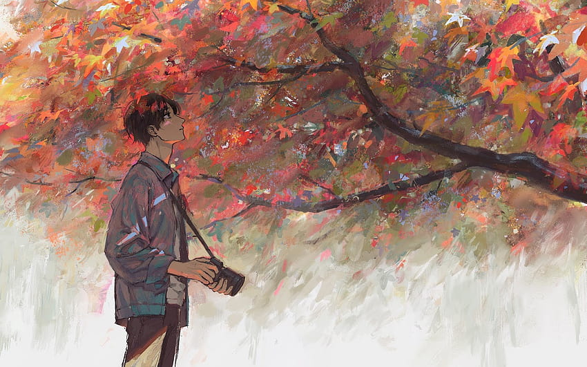 Anime Guy grapher Maple Tree Otoño, dibujo otoño fondo de pantalla