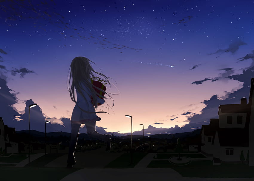 Anime Night Sky, anime girl night sky HD wallpaper | Pxfuel
