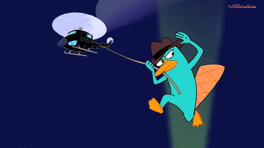 Phineas y Ferb, Perry el ornitorrinco fondo de pantalla | Pxfuel
