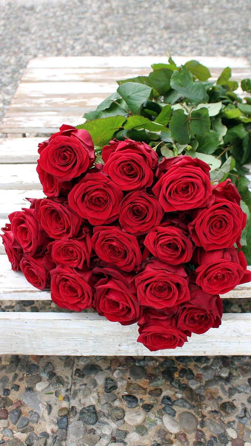 Send a beautiful bouquet of red roses., a bouquet of flowers HD phone wallpaper