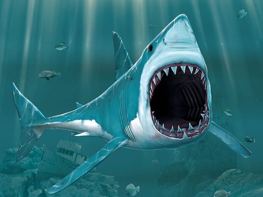 3D Shark, shark mouth HD wallpaper