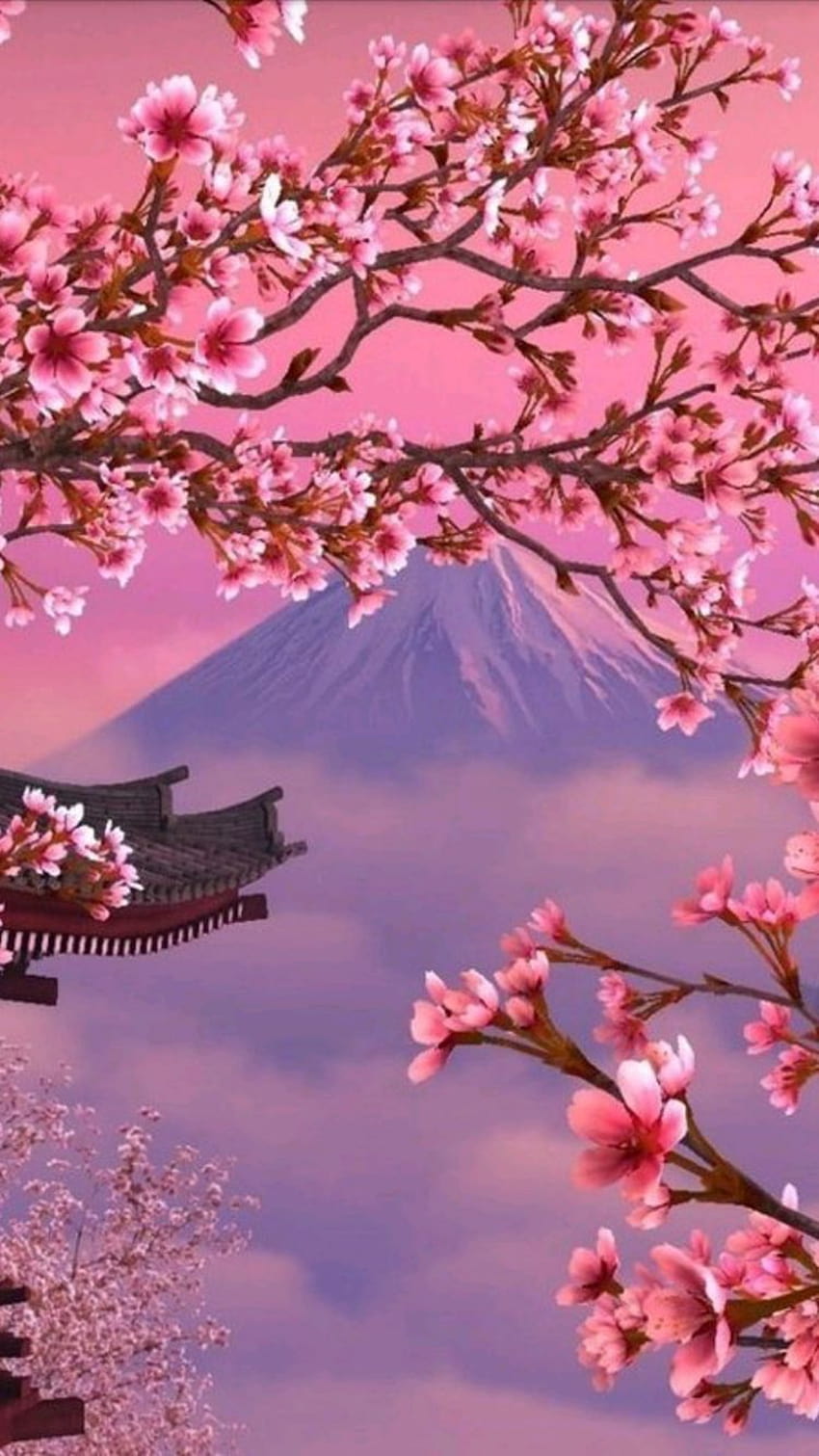Cherry blossom i simply adore cherry blossom HD phone wallpaper
